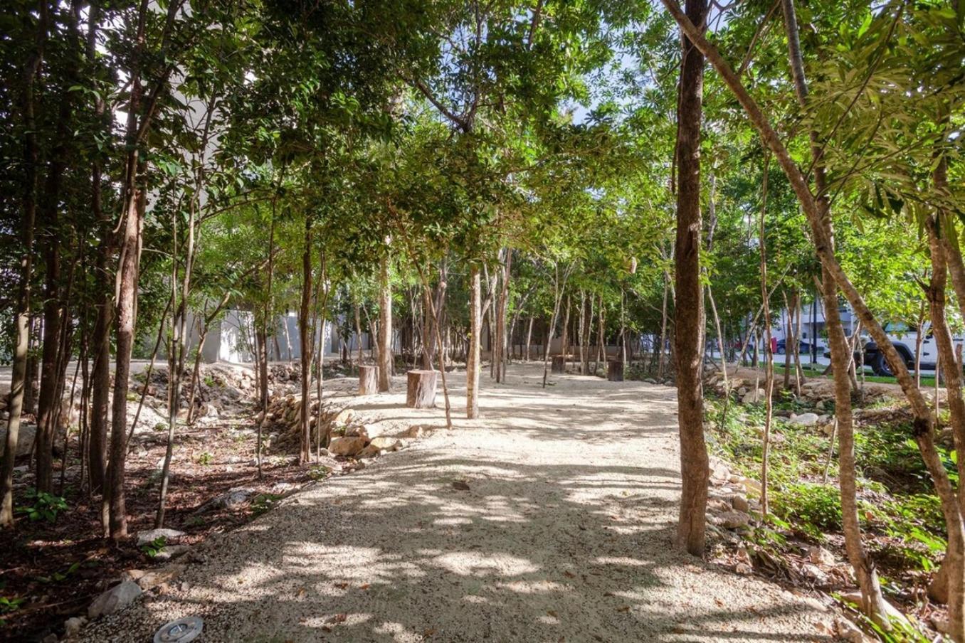 Apartamento Brand New! 10min To Wifi 200mb Gym Pool Playa del Carmen